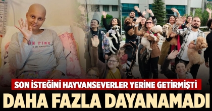 SON İSTEĞİNİ HAYVANSEVERLER YERİNE GETİRMİŞTİ DAHA FAZLA DAYANAMADI