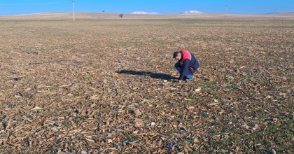 DAZKIRI’DA TARIM ARAZİSİ ETÜT ÇALIŞMASI YAPILDI