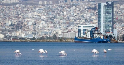 İZMİR KÖRFEZİ'NDE TEMİZLİK SONRASI DOĞA CANLANDI
