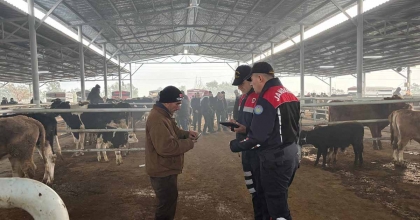 JANDARMADAN, HAYVAN PAZARINDA 'DOLANDIRICI' DENETİMİ