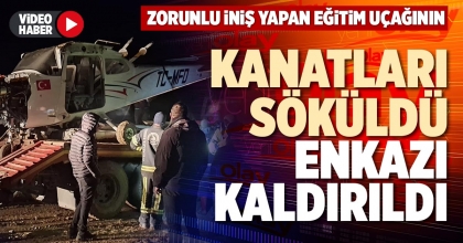 KANATLARI SÖKÜLDÜ ENKAZI KALDIRILDI