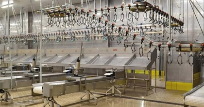 KESİMHANELERE KAMERA ZORUNLULUĞU GELİYOR