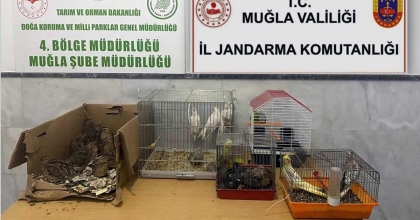 KAÇAK IRK HAYVAN SATICILARINA 77 BİN 500 TL CEZA