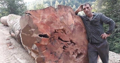 KESTİĞİ AĞAÇ ÜZERİNE DEVRİLEN ORMAN İŞÇİSİ HAYATINI KAYBETTİ