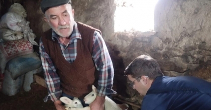 KÜÇÜKBAŞ HAYVANLARA YÖNELİK AŞILAMA ÇALIŞMASI BAŞLADI