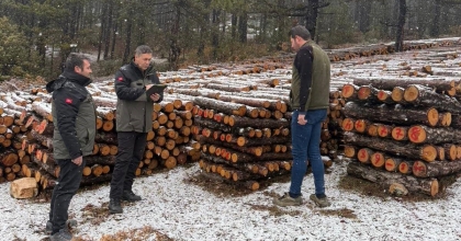 KÜTAHYA'DA ORMAN EMVALLERİNİN YIL SONU SAYIMLARI YAPILDI