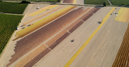 MANİSA 2024 YILINDA 842 MİLYON DOLARLIK TARIMSAL İHRACAT YAPTI