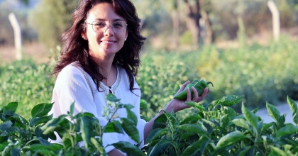 MENTEŞE BELEDİYESİ İHTİYAÇ SAHİPLERİNE 1 TON SEBZE DAĞITTI