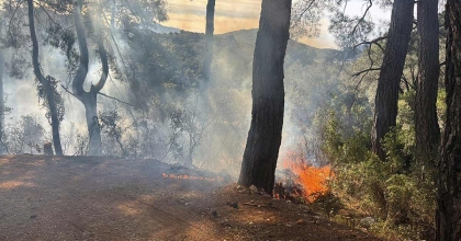 MUĞLA’DA 2025 YILININ İLK ORMAN YANGINI