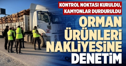 ORMAN ÜRÜNLERİ NAKLİYESİNE DENETİM