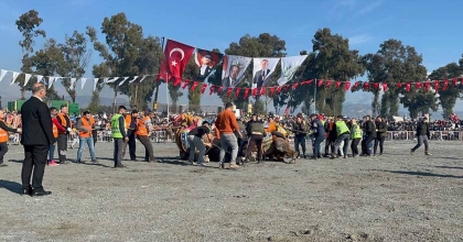 PEHLİVAN DEVELER YILIN İLK GÜREŞİNDE İNCİRLİOVA'DA KOZLARINI PAYLAŞTI