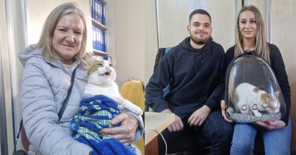 SÖKE'DE EVCİL HAYVANLAR KAYIT ALTINA ALINIYOR