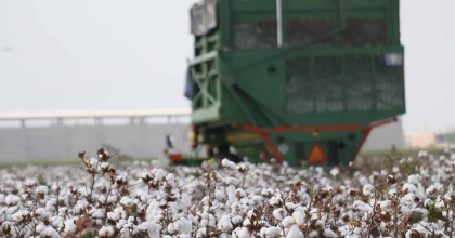 SÖKE’NİN TARIMSAL KAYITLILIK ORANI DİKKAT ÇEKTİ