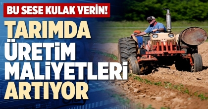 TARIMDA ÜRETİM MALİYETLERİ ARTIYOR