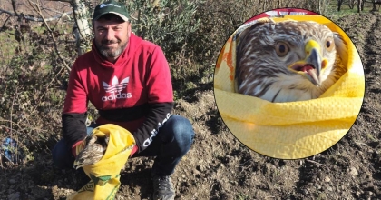 TARLASINDA BULDUĞU YARALI KARTALI KURTARDI