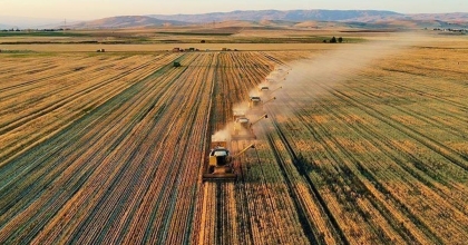 TARSİM’DEN ÇİFTÇİLERE 22,5 MİLYAR LİRA DESTEK