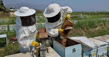 UŞAK'TA ARI YETİŞTİRİCİLİĞİ KURSU AÇILIYOR