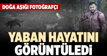 YABAN HAYATINI GÖRÜNTÜLEDİ