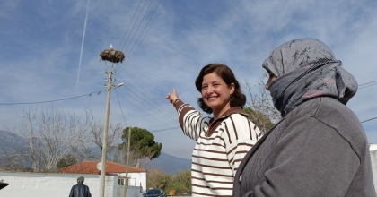 YILIN İLK LEYLEĞİ YUVASINA KONDU