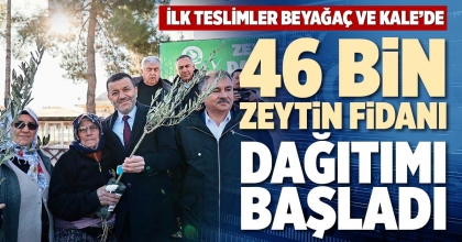 46 BİN ZEYTİN FİDANI  DAĞITIMI BAŞLADI