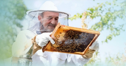 ARICILAR İÇİN BAŞVURU SÜRESİ UZATILDI