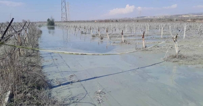 ALAŞEHİR’DE ÜZÜM BAĞI İÇİNDE KORKUTAN PATLAMA
