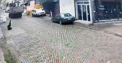 AYDIN'DA İLGİNÇ KAZA