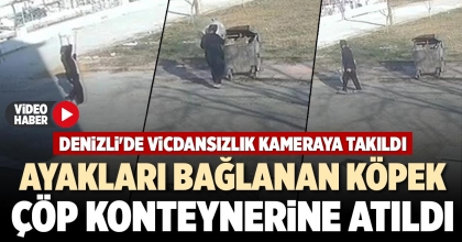 AYAKLARI BAĞLANAN KÖPEK ÇÖP KONTEYNERİNE ATILDI