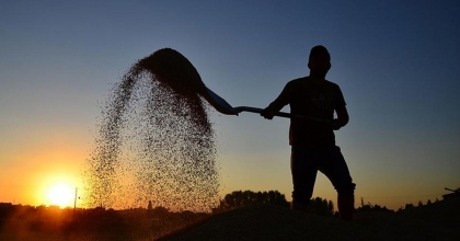 DENİZLİLİ ÇİFTÇİLERE TARIMSAL DESTEK ÖDEMESİ 