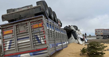 DEVRİLEN TIRDA 25 TON BÜYÜKBAŞ HAYVAN YEMİ ÇEVREYE SAÇILDI