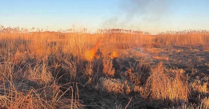 EBER GÖLÜ’NÜ YAKMAYA ÇALIŞAN 5 KİŞİYE CEZA KESİLDİ