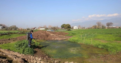 EFELER’DE SİNEKLERLE MÜCADELE YIL BOYUNCA DEVAM EDİYOR