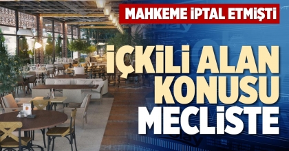 İÇKİLİ ALAN KONUSU MECLİSTE