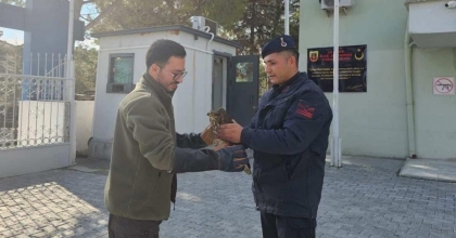 JANDARMANIN BULDUĞU YARALI ŞAHİN KORUMA ALTINA ALINDI