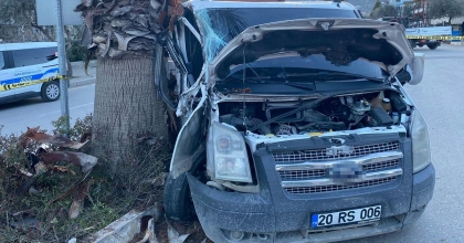 KONTROLDEN ÇIKTI AĞACA ÇARPARAK DURDU