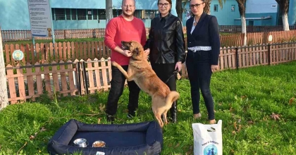 MANİSA’DA HAYVAN SAHİPLENMEYE TEŞVİK KAMPANYASI