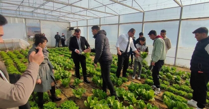 MESLEK LİSELİLER TARIMSAL ÜRETİMDE DENEYİM KAZANIYOR