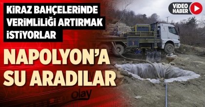 NAPOLYON’A SU ARADILAR