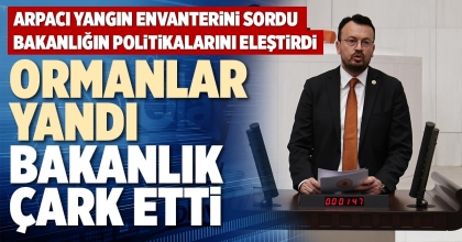 ORMANLAR YANDI BAKANLIK ÇARK ETTİ
