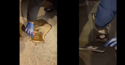 POLİS DOĞALGAZ KOMBİSİ VE KOLANIN İÇİNDE UYUŞTURUCU ARADI