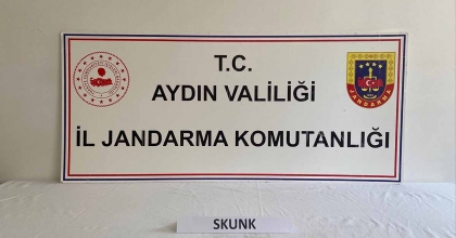 UYUŞTURUCU KULLANAN ŞAHISLAR JANDARMADAN KAÇAMADI