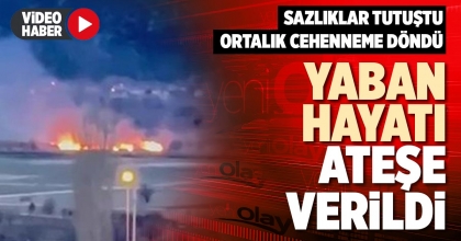 YABAN HAYATI ATEŞE VERİLDİ
