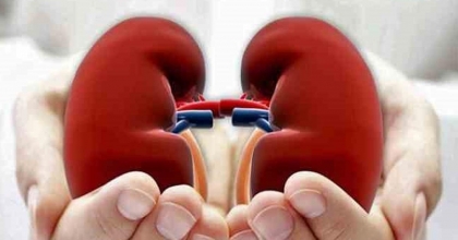 “SAĞLIKLI BÖBREK, SAĞLIKLI HAYAT” VURGUSU