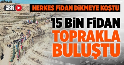 15 BİN FİDAN TOPRAKLA BULUŞTU