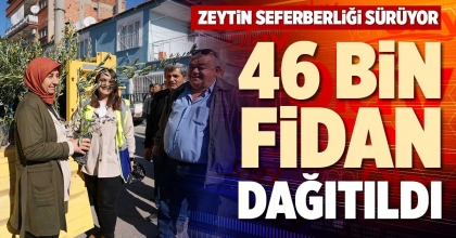 46 BİN FİDAN DAĞITILDI