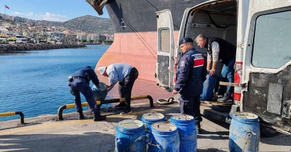 KAÇAK AVLANAN 600 KİLOGRAM DENİZ PATLICANI ELE GEÇİRİLDİ