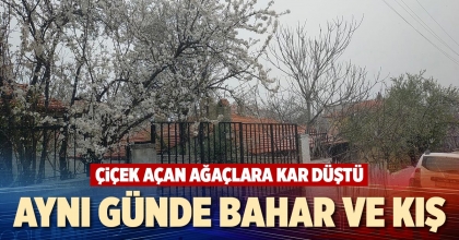 AYNI GÜNDE BAHAR VE KIŞ