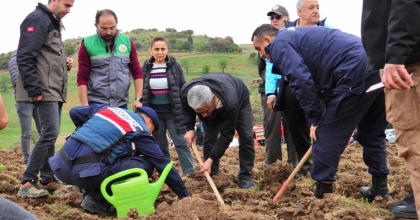 ALİAĞA'DA ORMAN HAFTASI'NDA BİN ADET FİDAN DİKİLDİ