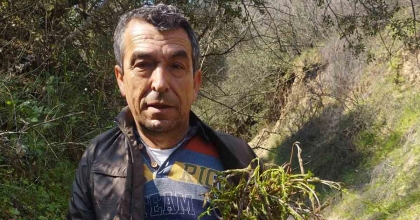 AYDIN'IN ACI OTU KEDİRGEN VE SARMAŞIKLAR YÜZÜNÜ GÖSTERDİ