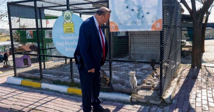 BAŞKAN YALIM'DAN MİNİK DOSTLAR İÇİN ÇAĞRI